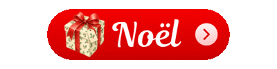 🎄🎁Offres de Noël